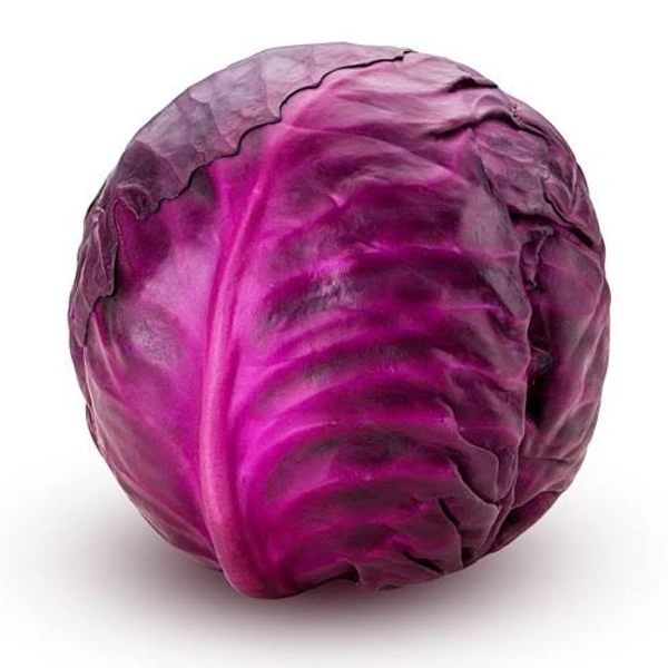 Veg Valley  Cabbage/पत्तागोभी/Pattagobhi  - Purple, Approx 1 Kg