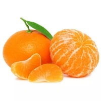Valencia South Africa  Orange/संतरा/Santra  - Orange, Approx 1 Kg