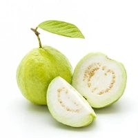 Veg Valley  Guava/अमरूद/Amrood  - Approx 1 Kg, Big