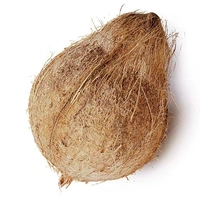 Veg Valley  Coconut  - 1 Pc