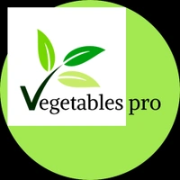 Vegetables Pro - Logo