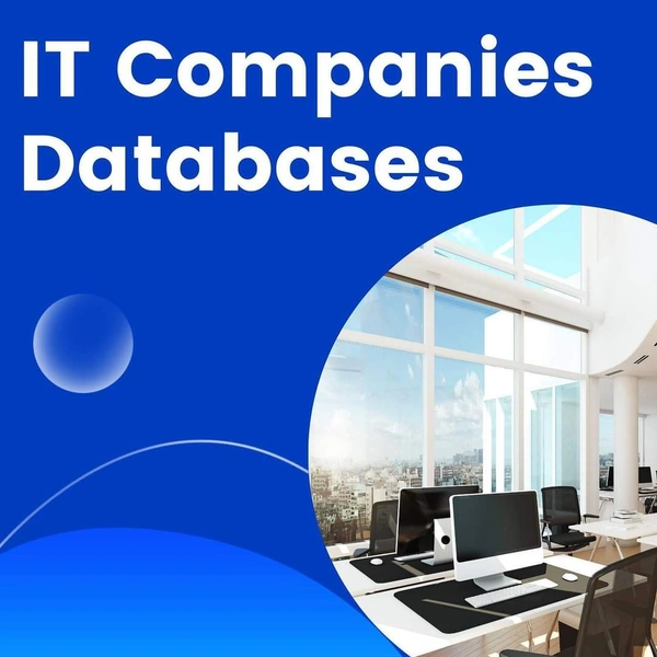 IT Companies Database 
