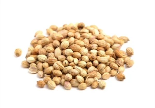 CORIANDER SEED (DHANIYA) 100 GM ধনিয়া