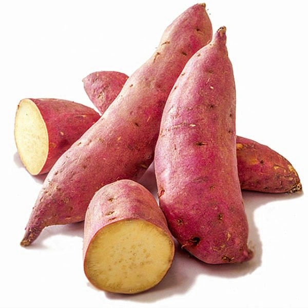 Sweet Potato  - 07AM -- 09PM, 1KG
