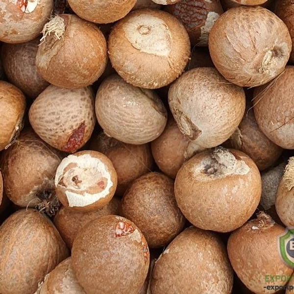 Betel Nut - 09AM-09PM, 5 PCS