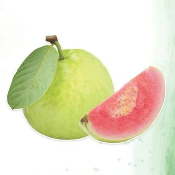 Guave - 09AM-09PM, 1KG