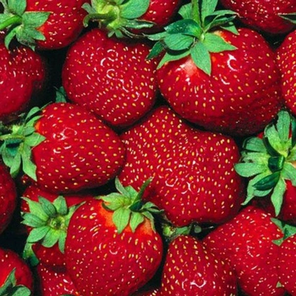Strawberry  - 09AM-09PM, 750Gram