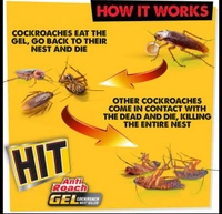 Anti-Roach Gel-cockroch Killer - 10AM-08PM, 20Gram