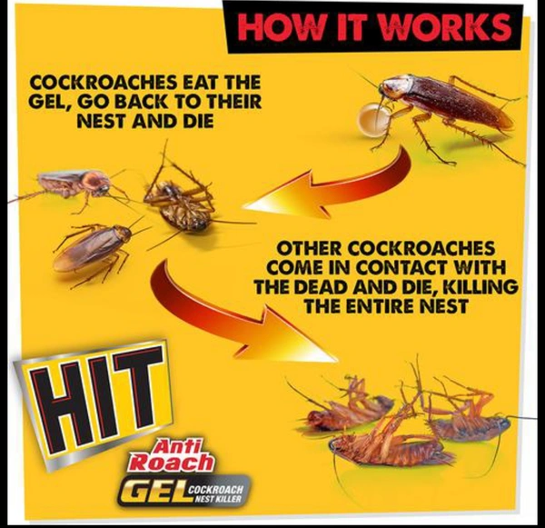 Anti-Roach Gel-cockroch Killer - 10AM-08PM, 20Gram
