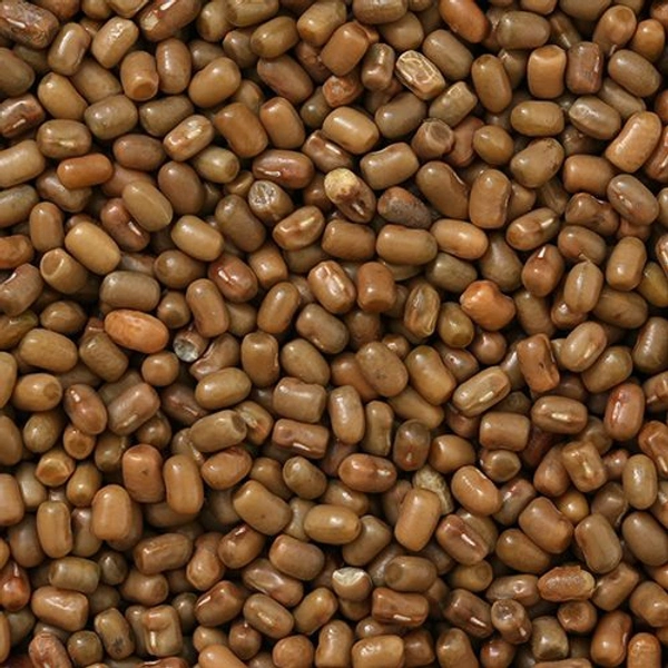 Mataki Dal - 10AM-08PM, 1KG