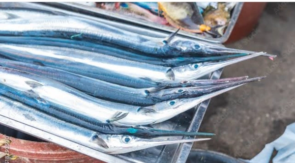 Tolki Fish (Fish Cutting) - 250Gram
