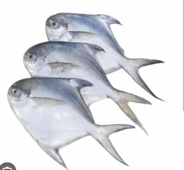 Paplet Fish (Fish Cutting) - 1KG