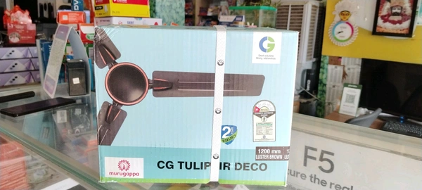 CG TULIPA DECO