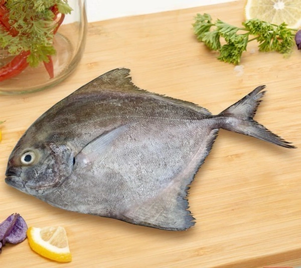 Halwa (Black Pomfret) 1KG