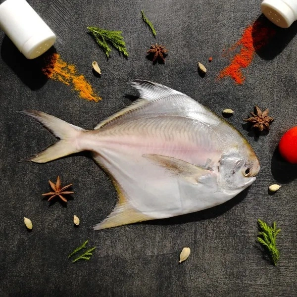 Pomfret Silver (Paplet) 1KG