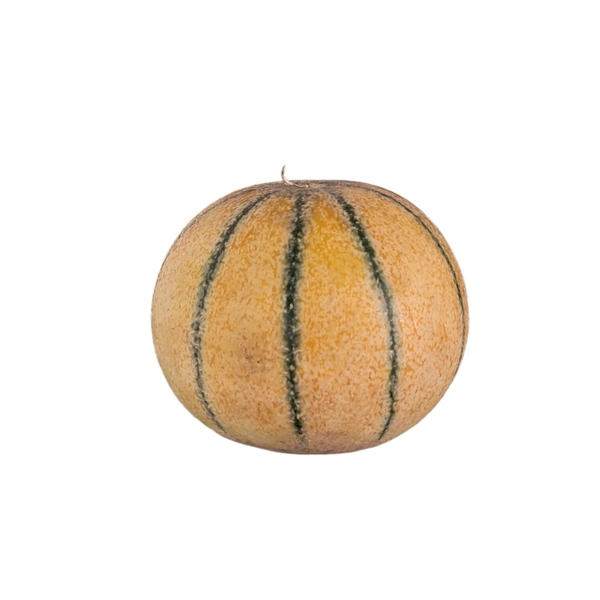 Muskmelon (Shakarbatti)