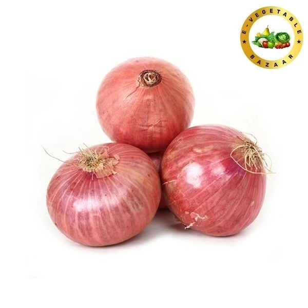 Onion (рдкреНрдпрд╛рдЬ) New