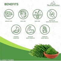 NutraChoice Organic Moringa Leaf Powder For Weight Loss