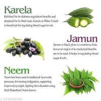 Srishma Neem Karela Jamun Powder 200g