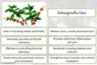 Natural Pure Ashwagandha Powder 100g