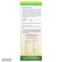Baidyanath (Jhansi) Wheat Grass Juice 1L