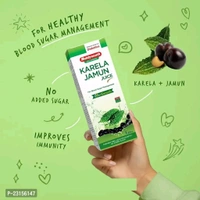 Baidyanath Karela Jamun Juice 1 L