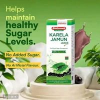 Baidyanath Karela Jamun Juice 1 L