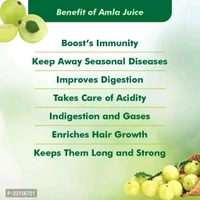 Baidyanath (Jhansi) Amla Juice 1L - Pack Of 2