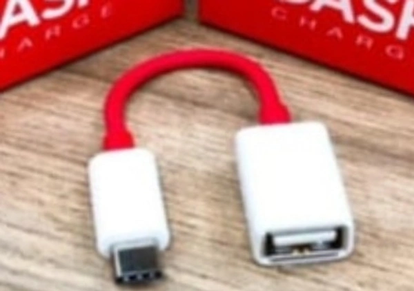 DASH single Pin Type - C OTG Cable 0.2 M ( Multi)