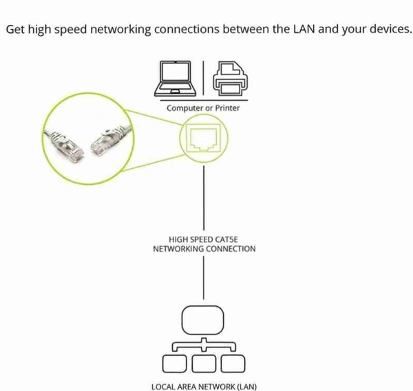 Quantum Cat5 Ethernet 5M Cable