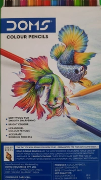 Doms Colour Pencils 12 Shades