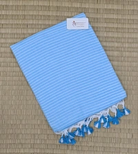 RangDhaaga Light Blue Khadi  Lining Saree - Free