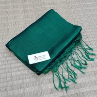 RangDhaaga Green Raga Tissue Saree