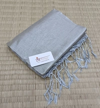 RangDhaaga Silver Raga Tissue Saree
