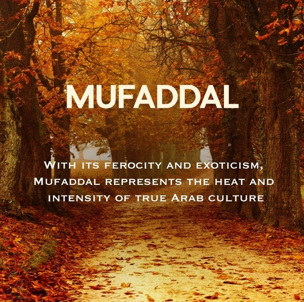 Naseem MUFADDAL Attar Premium Perfume Oil - For Men - 20ML