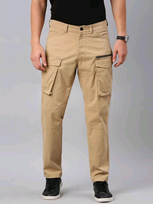 Mens Woven Beige Pant D1