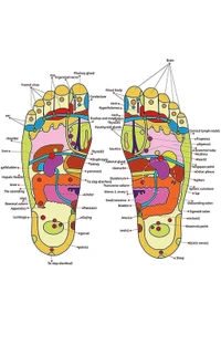 HUSB Spring Acupressure and Magnetic Therapy Accu Paduka Slippers for Full Body Blood Circulation Natural Slippers For Men and Women (Unisex) (Size  7, 8, 9, 10) - 8, 8