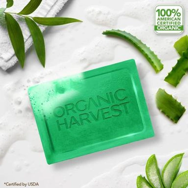 Aloe Vera Luxurious Bathing Bar - Green, 40