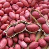 Red Peanut/Mungfali/Groundnut - 250Gm