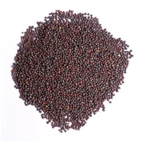 Choti Rai/Sarson/Mustard Seed - 100g