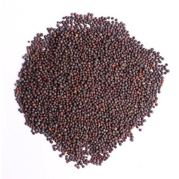 Choti Rai/Sarson/Mustard Seed - 100g