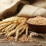 Sharbati Wheat/Gehu - 250g