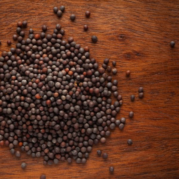 Mota Rai/Sarson/Mustard Seed - 100g