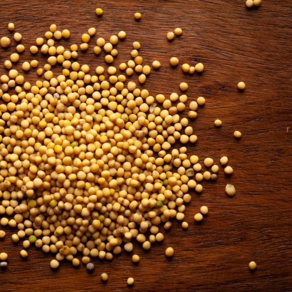 Yellow Mustard/Pila Sarson/Rai - 100g