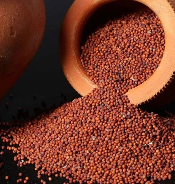 Ragi Millet - 500gm