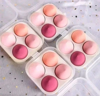 Makeup Beauty Blender with Storage