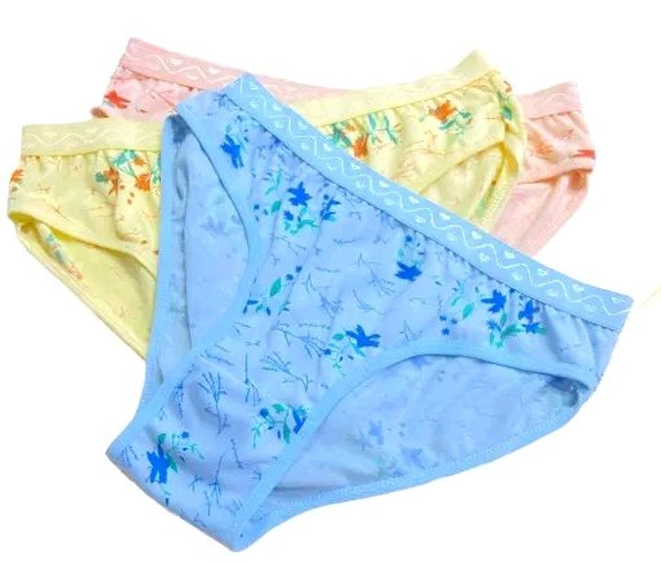 Women's Panty Combo Of 3 - L