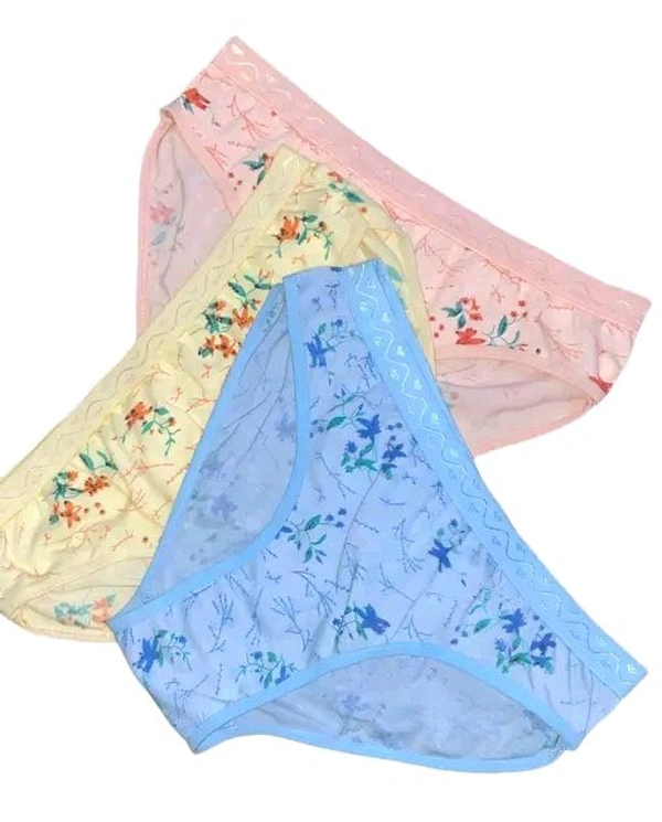 Women's Panty Combo Of 3 - L
