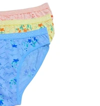 Women's Panty Combo Of 3 - XL