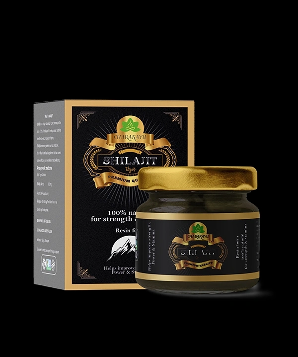 Charakayu Shilajit 15GM